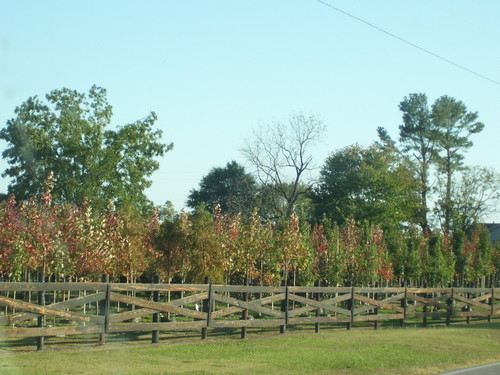 Montevallo,Alabama banner