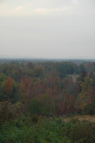 Ashville,Alabama banner