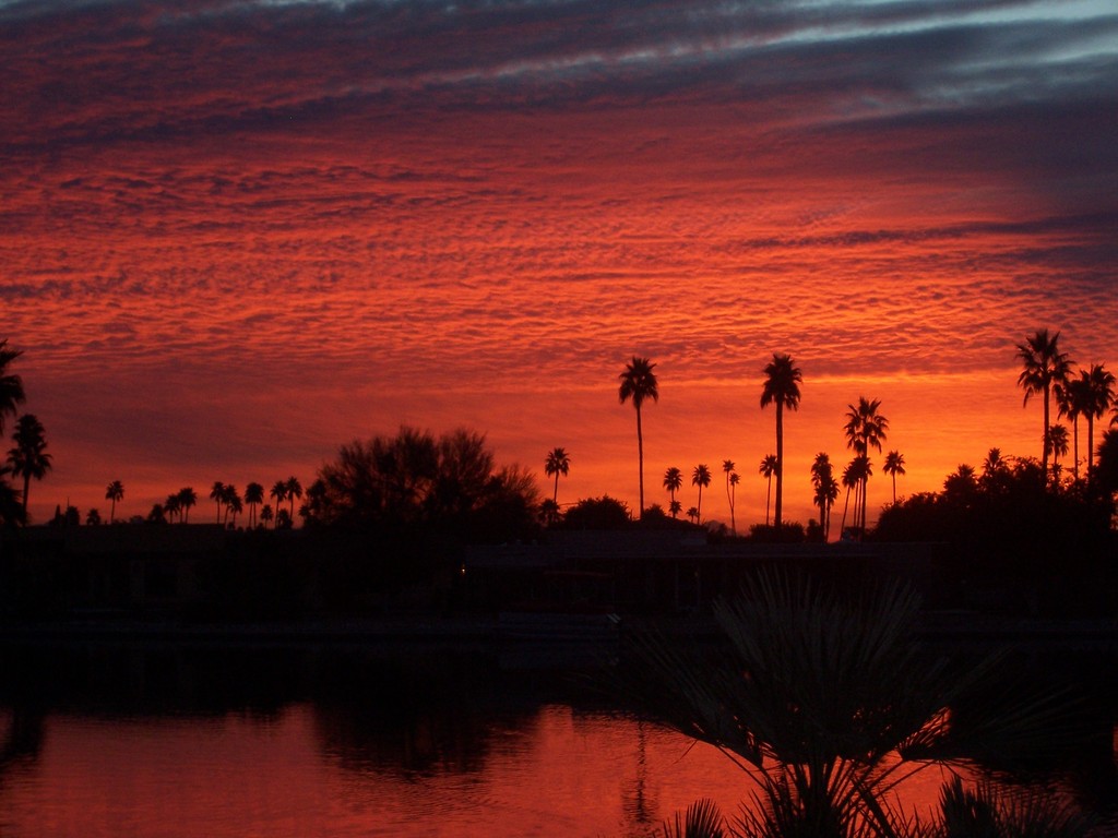 Sun City,Arizona banner