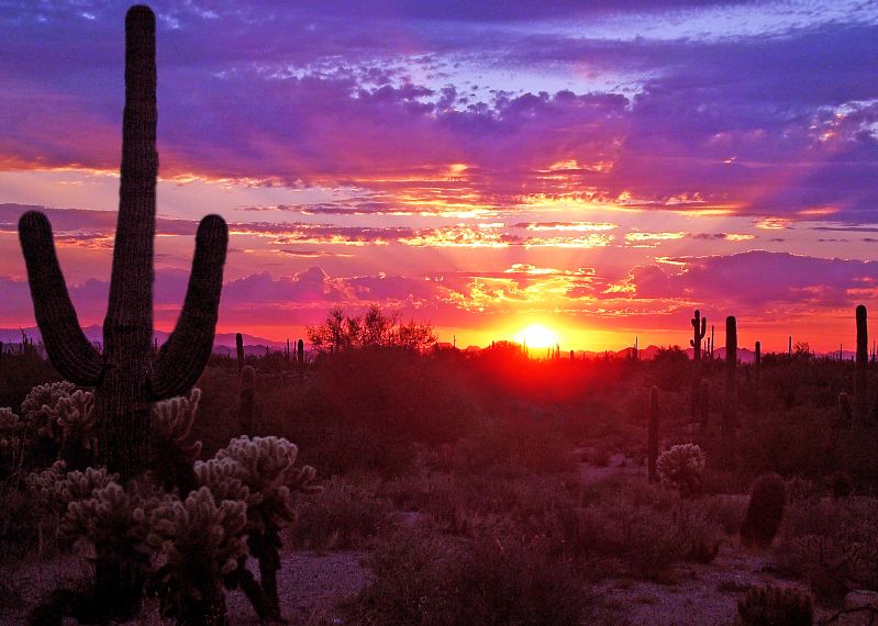 Phoenix,Arizona banner