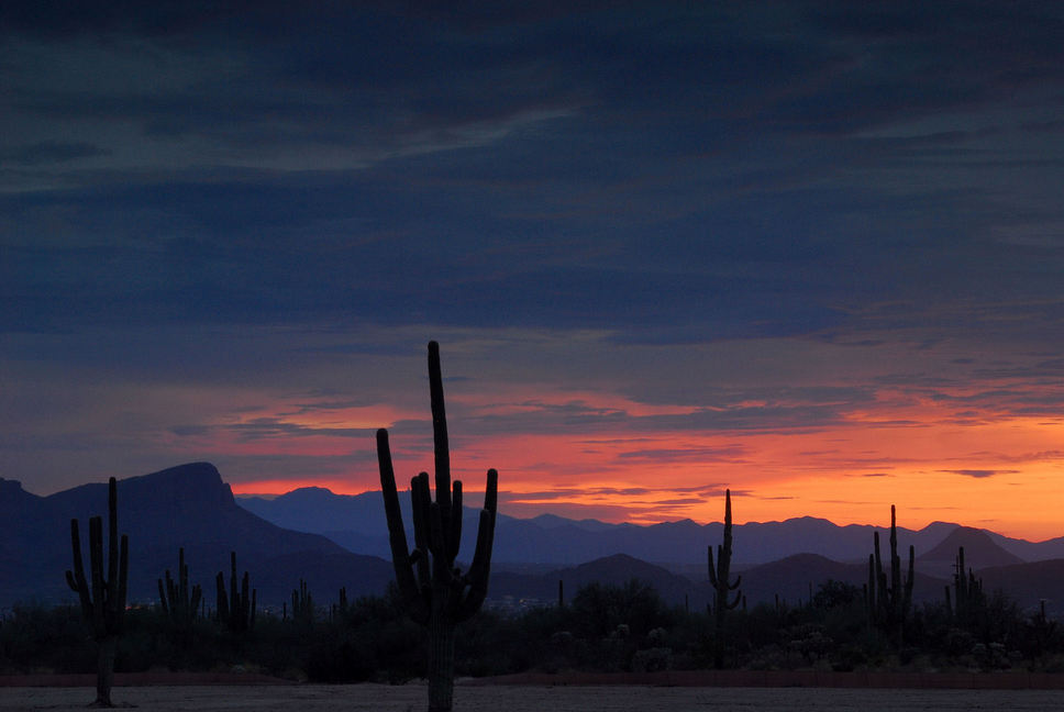 Marana,Arizona banner