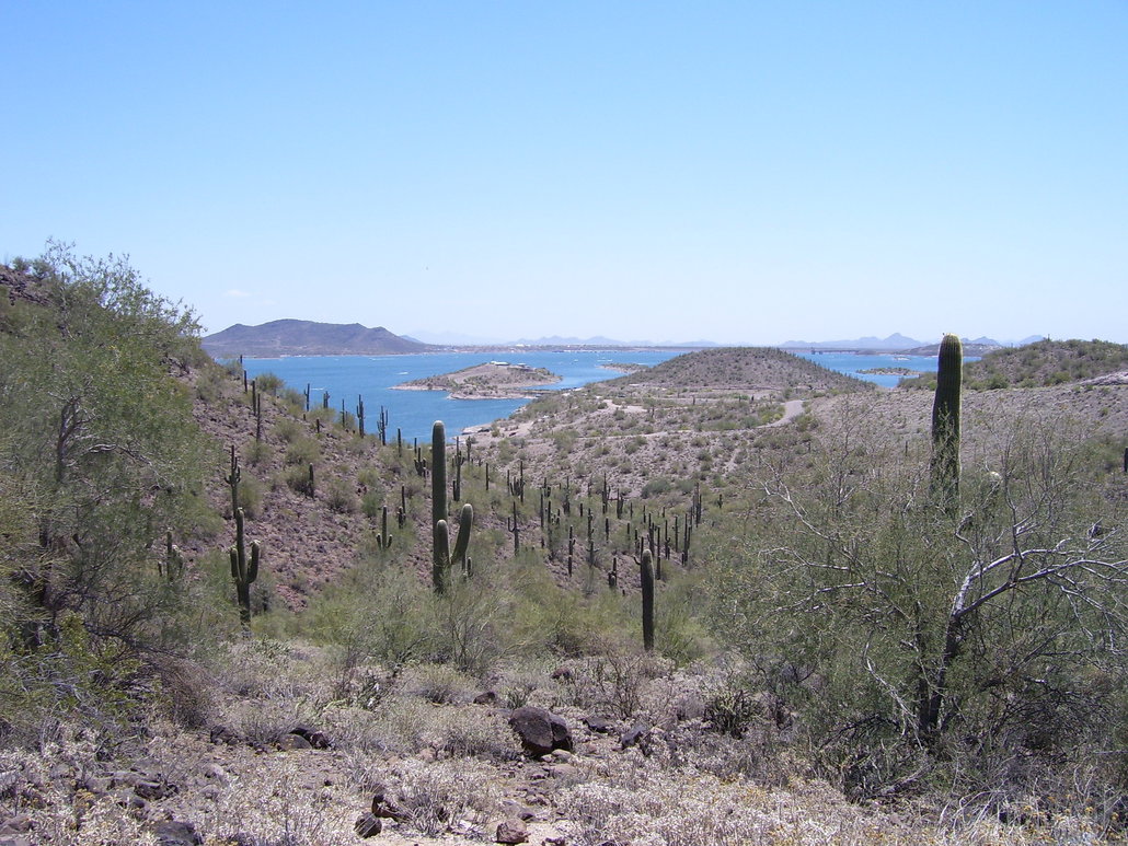 Peoria,Arizona banner