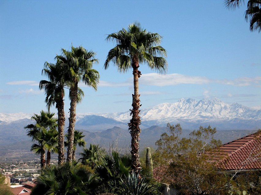 Fountain Hills,Arizona banner