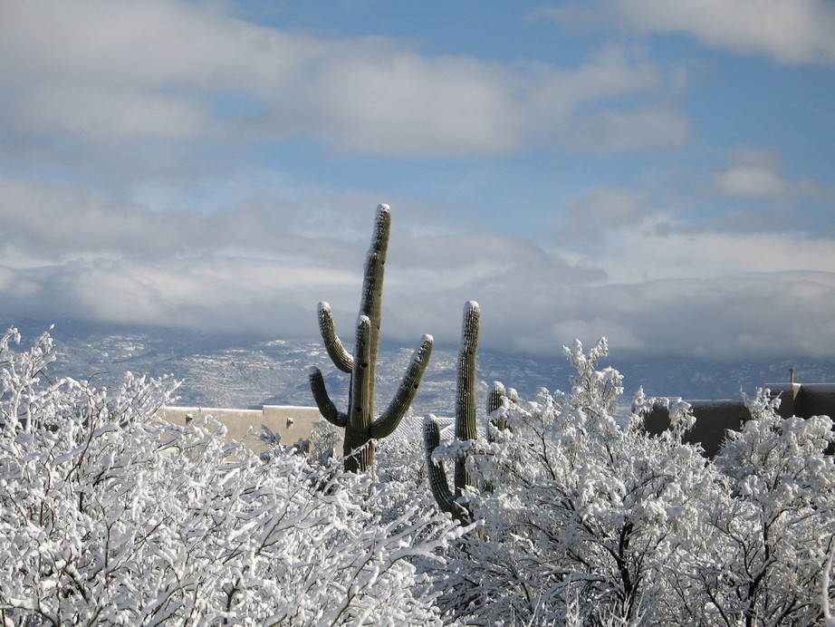 Vail,Arizona banner