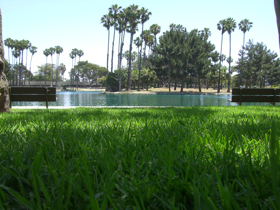 Gardena,California banner