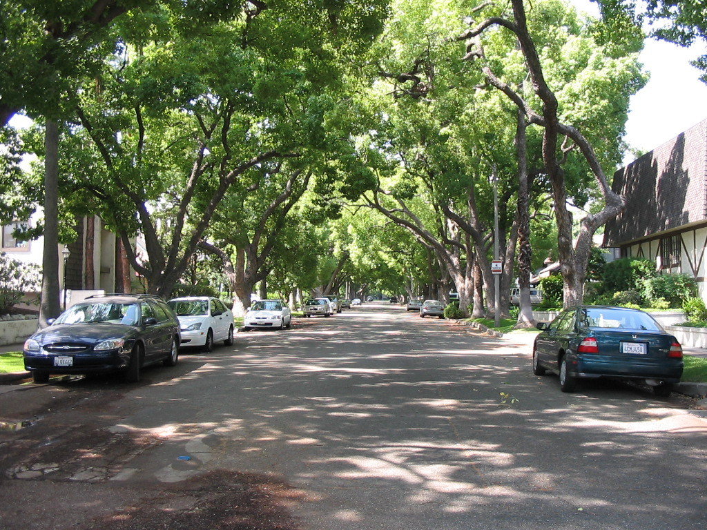 South Pasadena,California banner