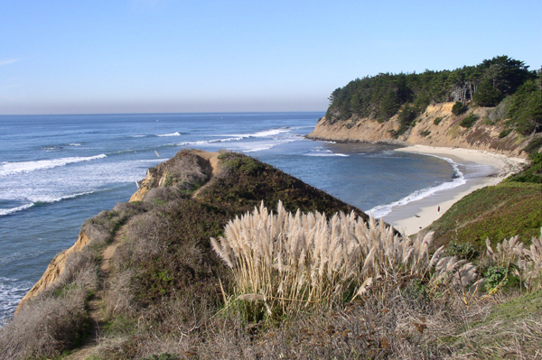 Moss Beach,California banner