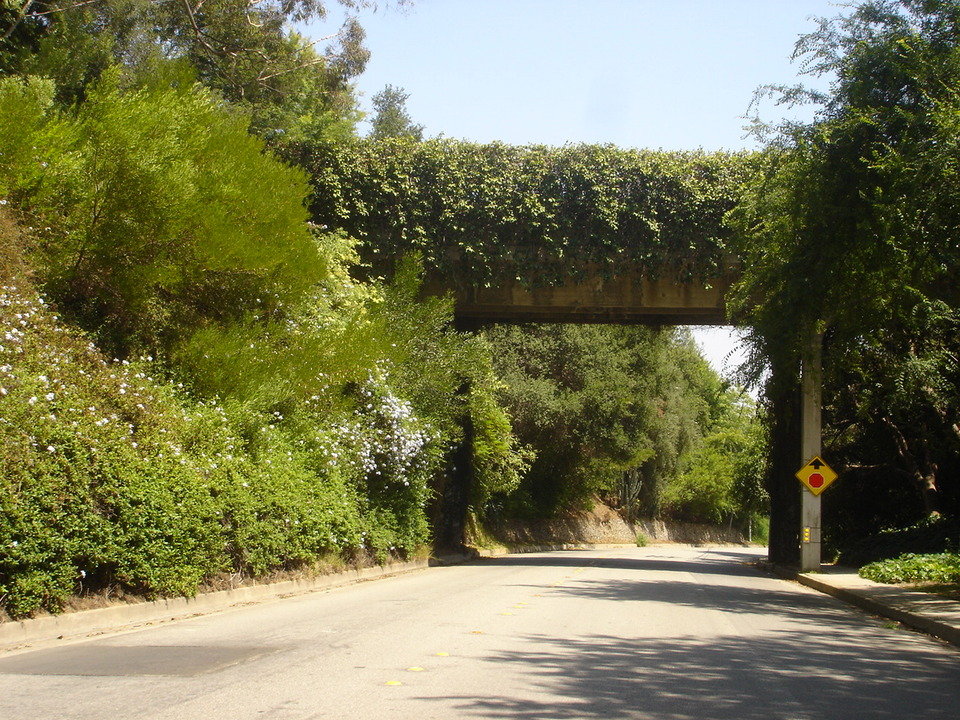 San Marino,California banner