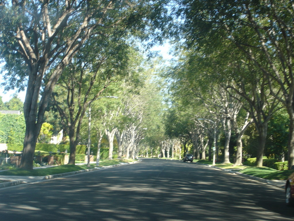 Beverly Hills,California banner