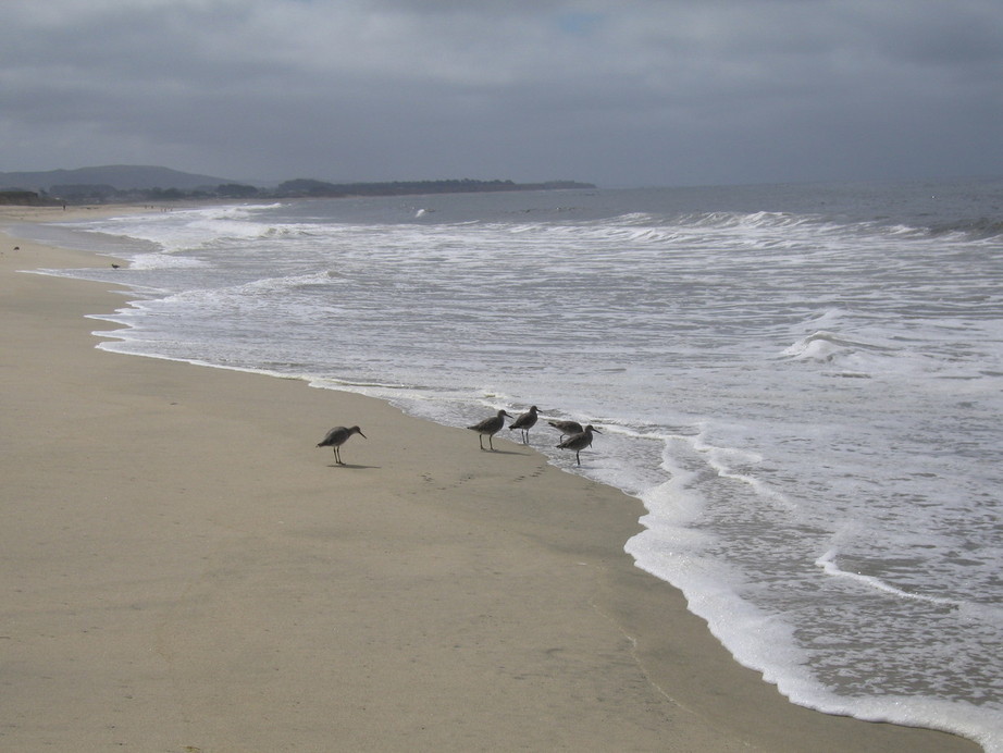 Half Moon Bay,California banner