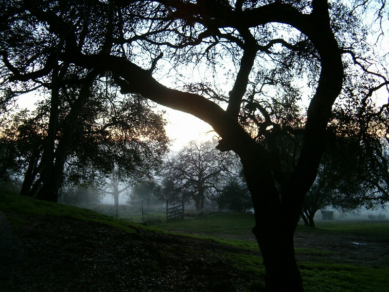 Shingle Springs,California banner