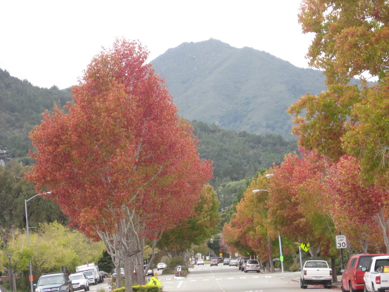 Corte Madera,California banner