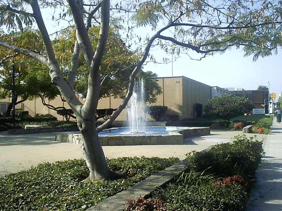 Rosemead,California banner