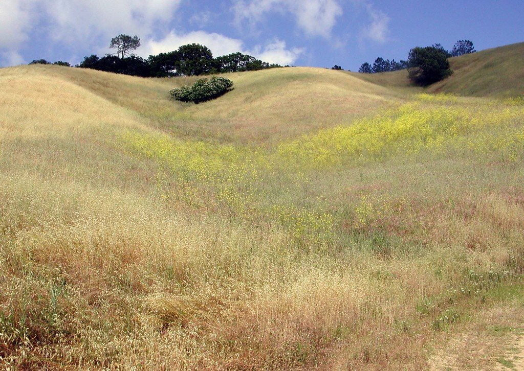 Diablo,California banner