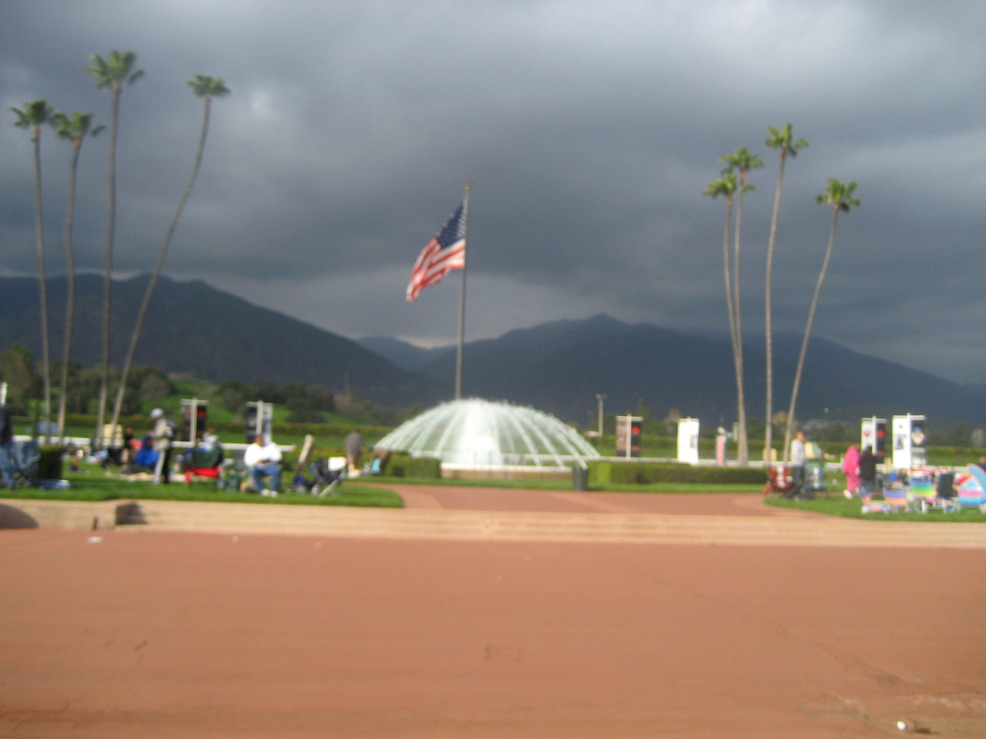 Arcadia,California banner