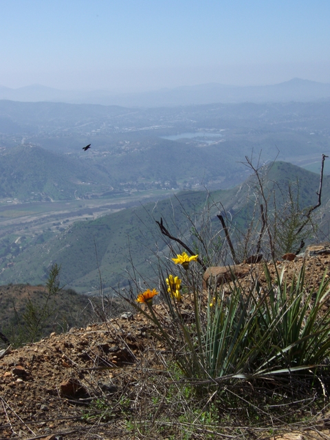 Lakeside,California banner