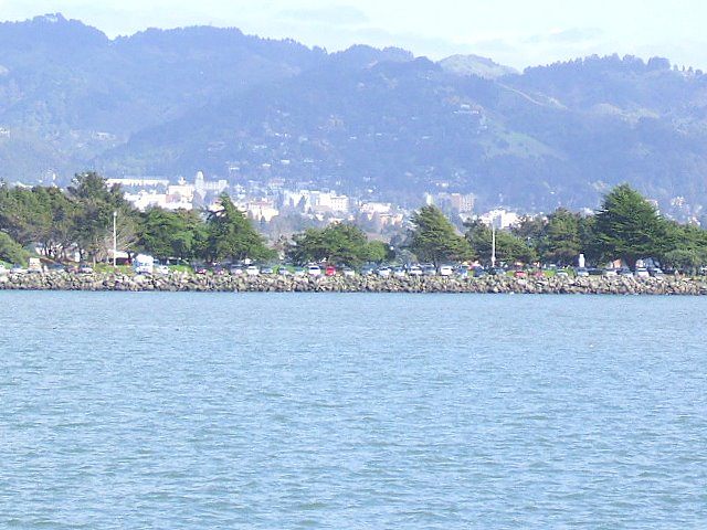 Berkeley,California banner