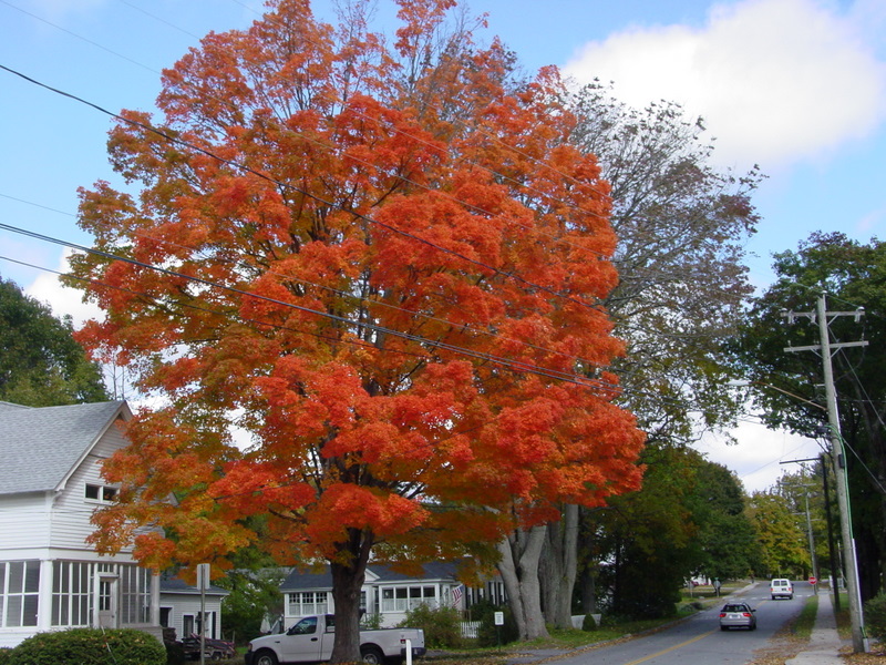 Deep River,Connecticut banner