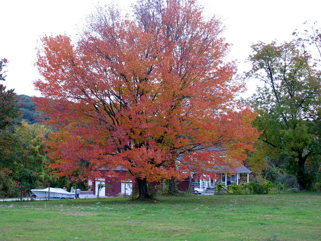 Beacon Falls,Connecticut banner