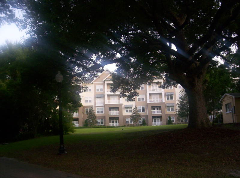 Maitland,Florida banner