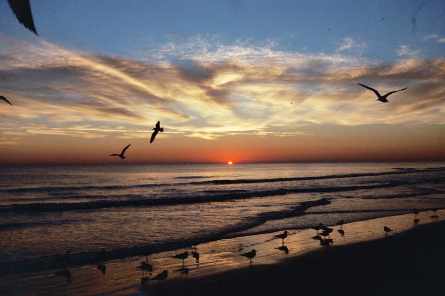 Daytona Beach,Florida banner