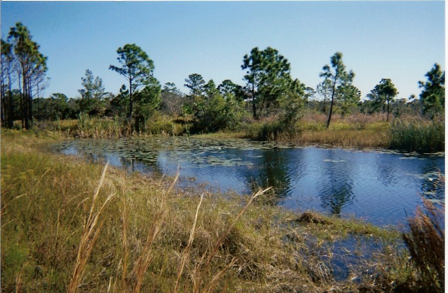 Malabar,Florida banner