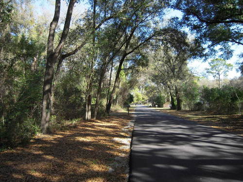 Apopka,Florida banner