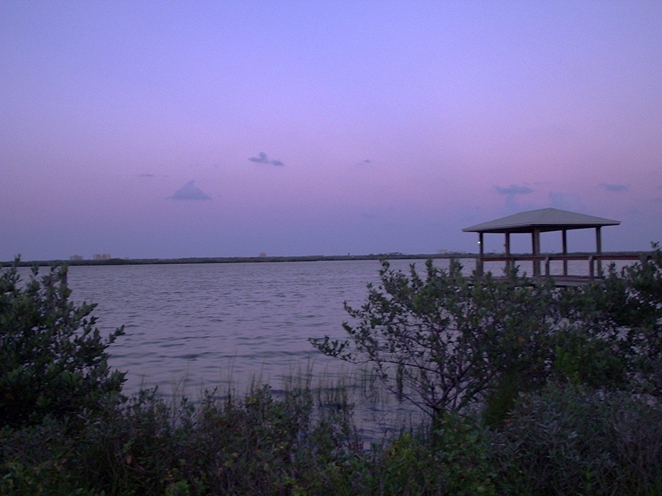 Edgewater,Florida banner