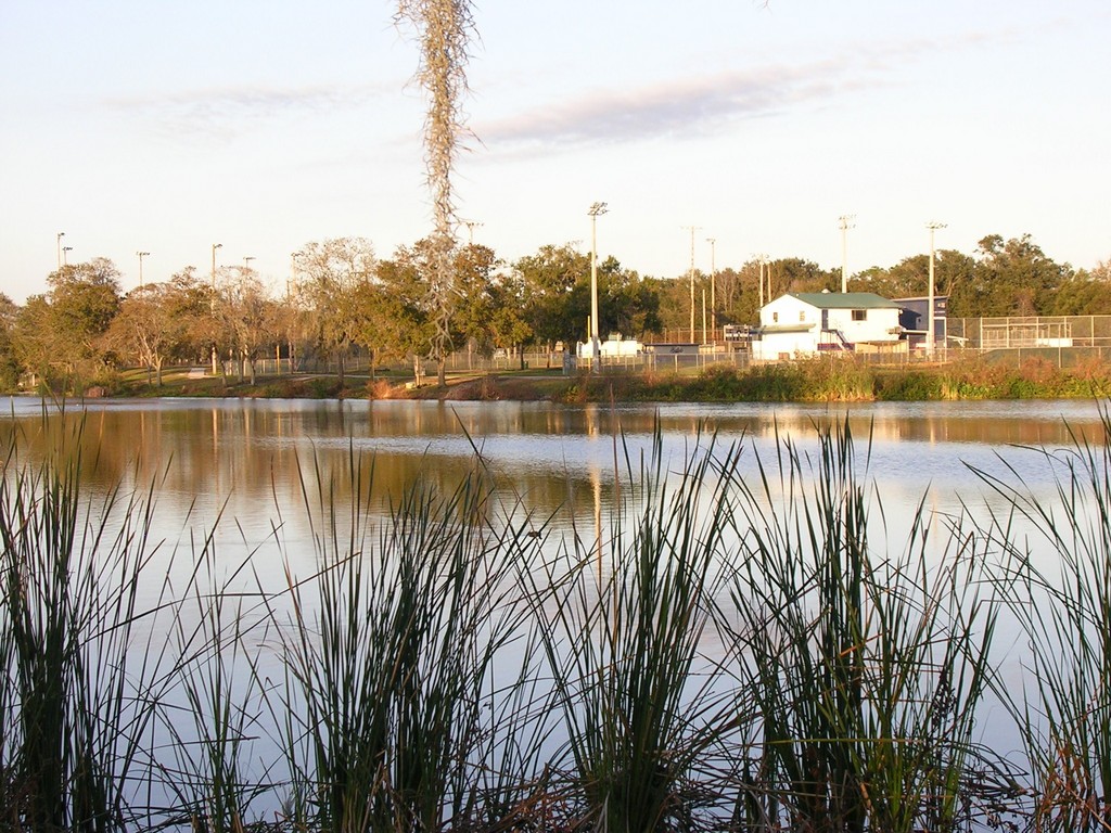 Dover,Florida banner