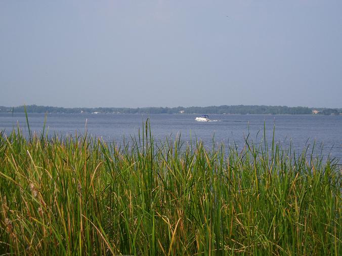 Palm Harbor,Florida banner