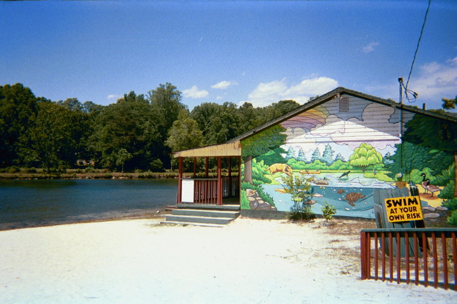 Pine Lake,Georgia banner