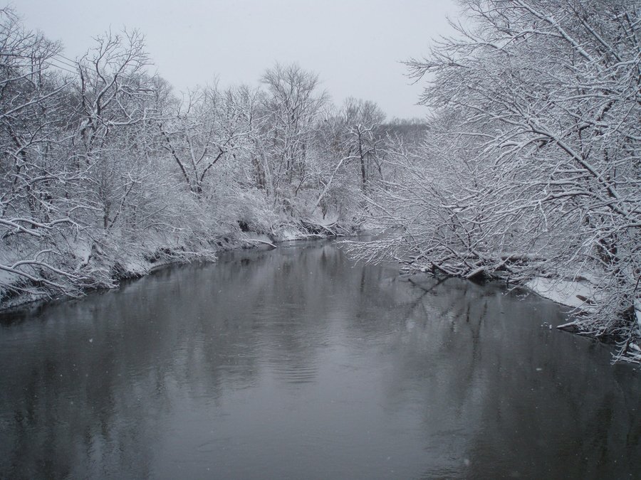 River Forest,Illinois banner