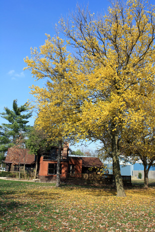 Wood Dale,Illinois banner