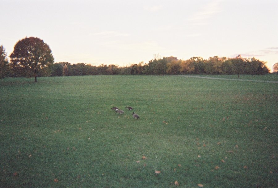 Rolling Meadows,Illinois banner