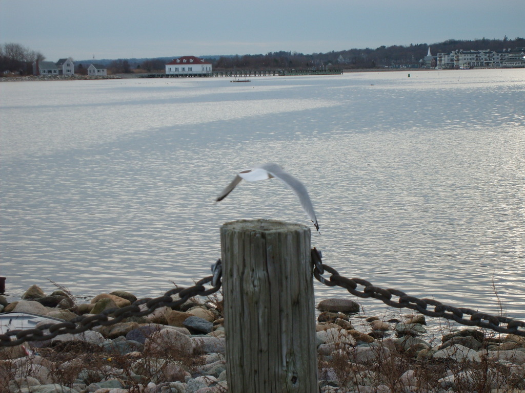 Scituate,Massachusetts banner