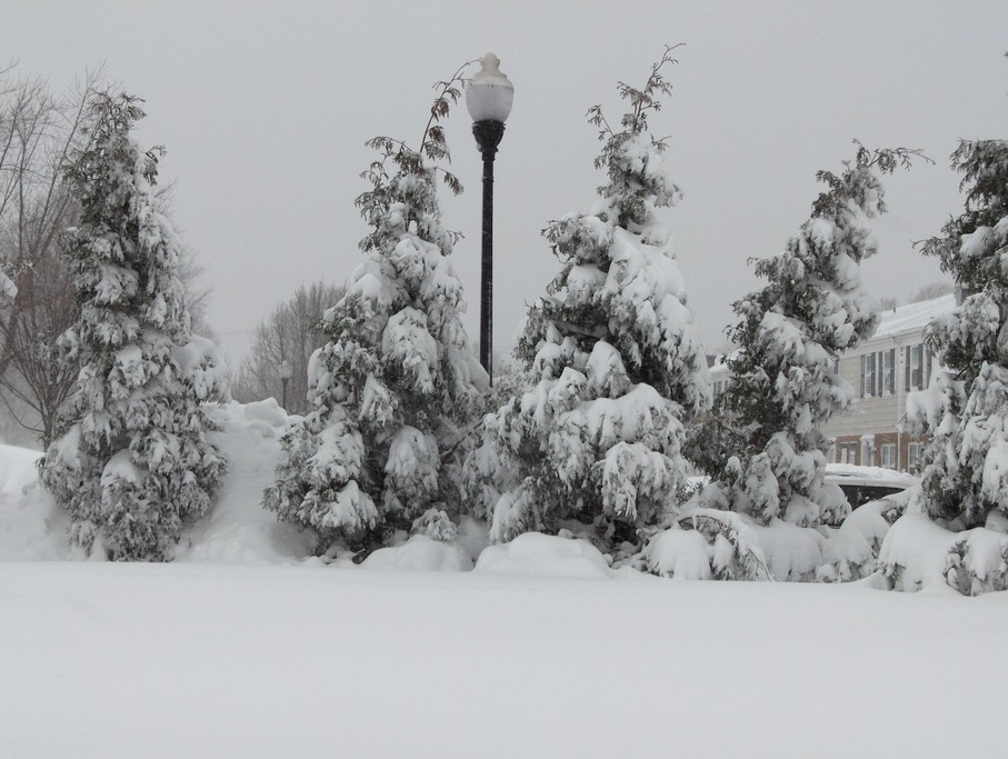 Essex,Maryland banner