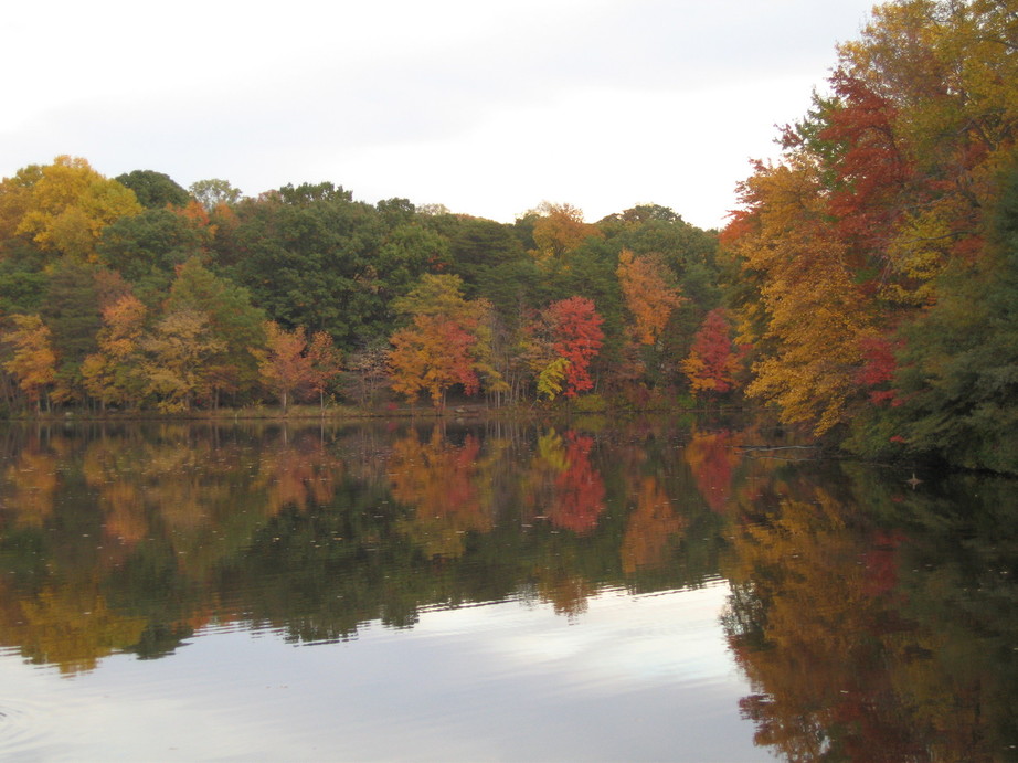 Greenbelt,Maryland banner