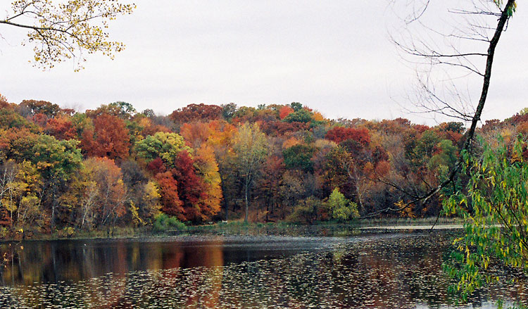 Minnetonka,Minnesota banner