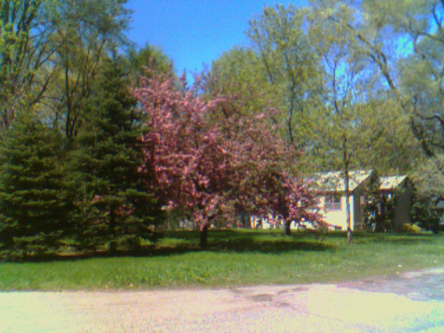 Champlin,Minnesota banner