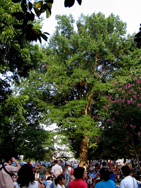 Carrboro,North Carolina banner