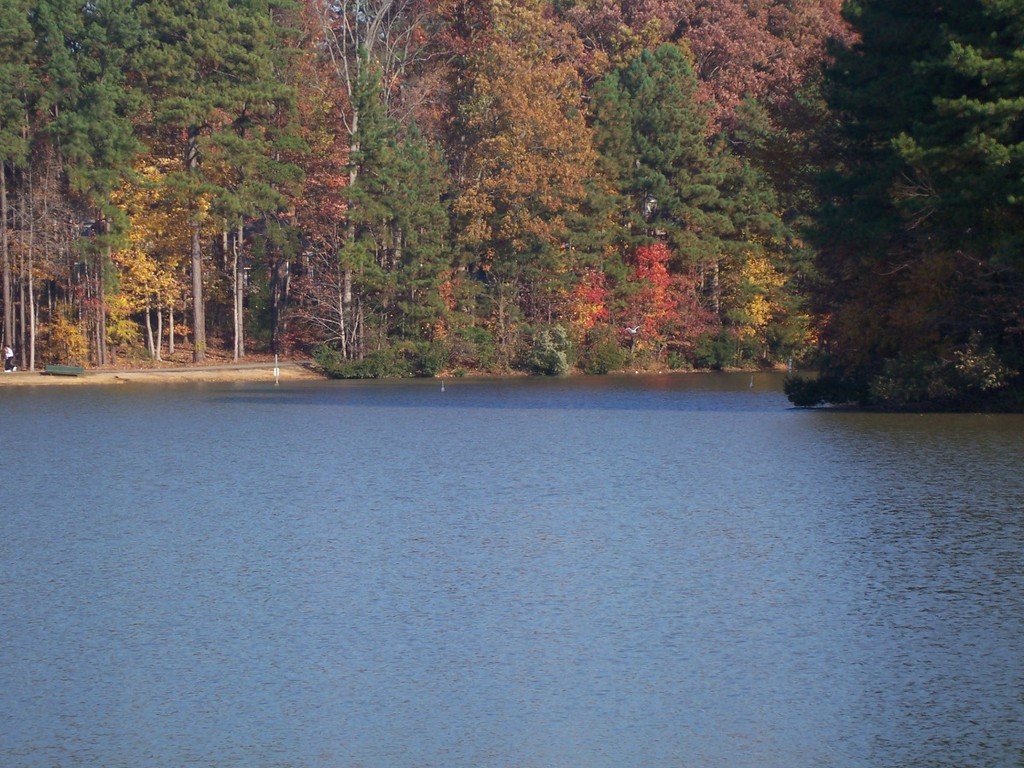 Apex,North Carolina banner