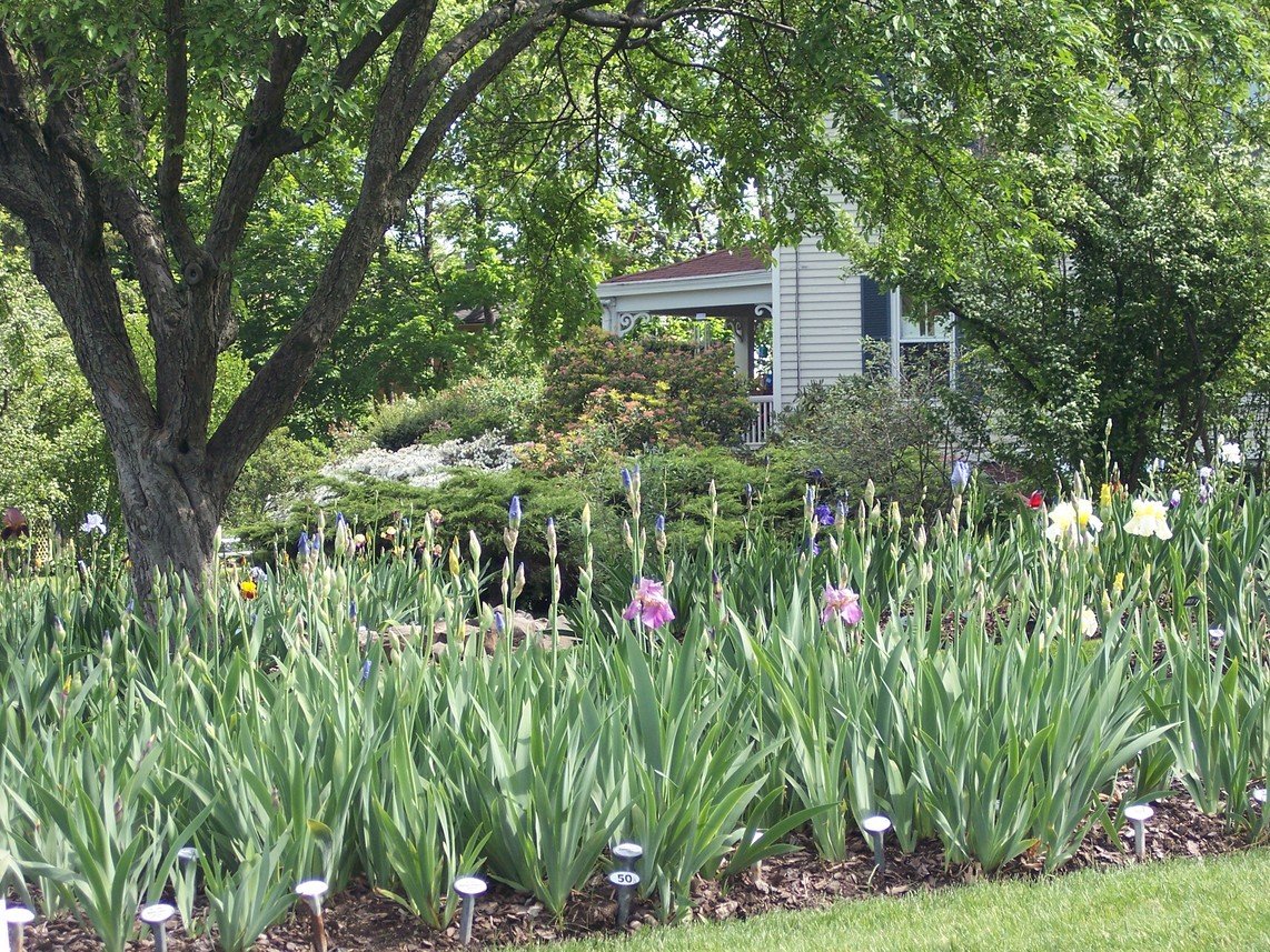 Montclair,New Jersey banner