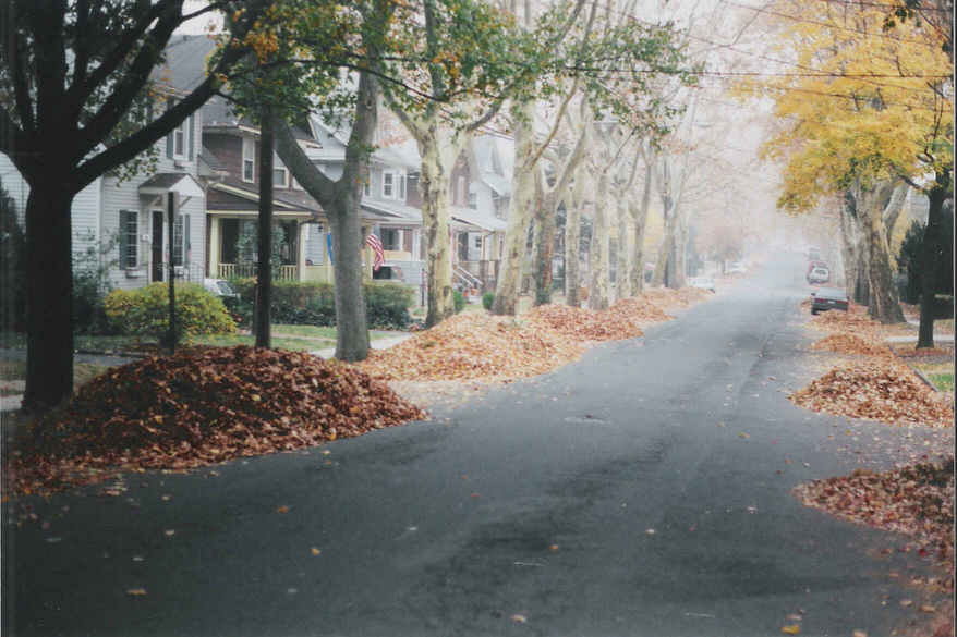 Rutherford,New Jersey banner