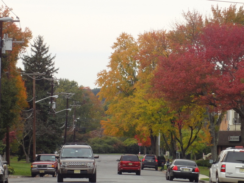 Tenafly,New Jersey banner