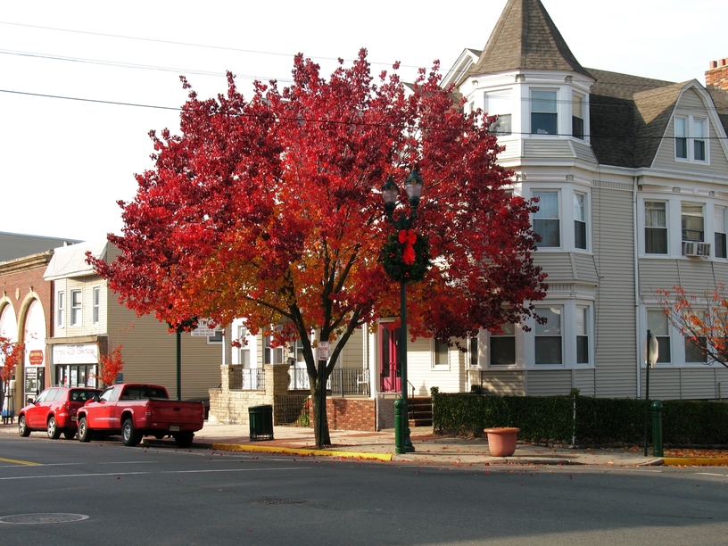 Kearny,New Jersey banner