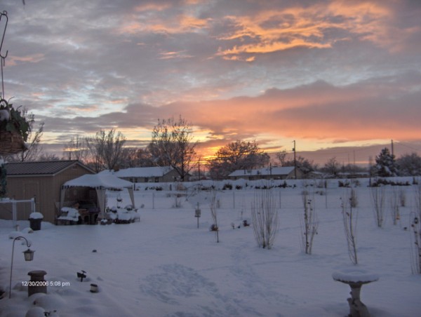 Los Lunas,New Mexico banner
