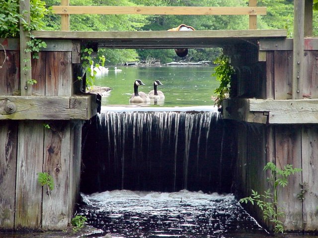 Hauppauge,New York banner