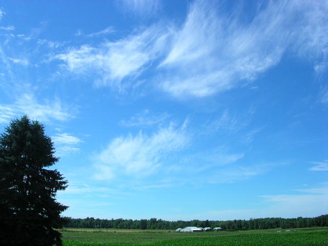 Williamson,New York banner