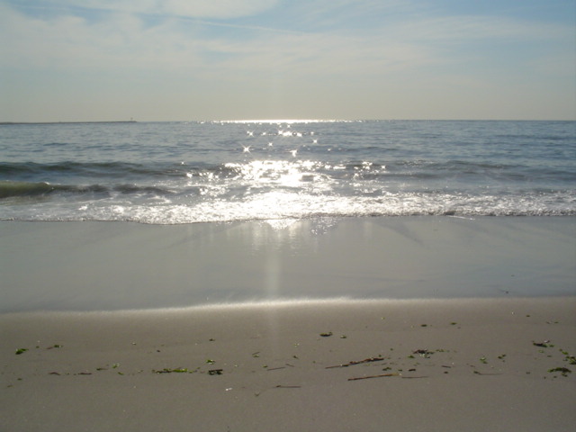 Point Lookout,New York banner