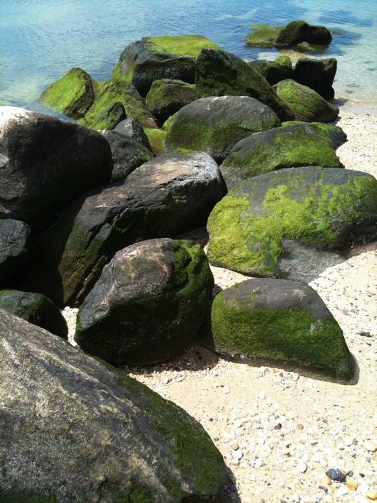 Sea Cliff,New York banner